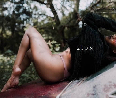 Zion 3