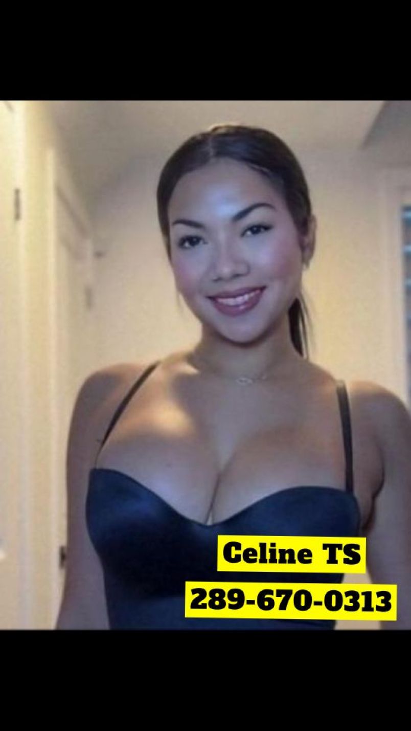 Celine Tdot 8