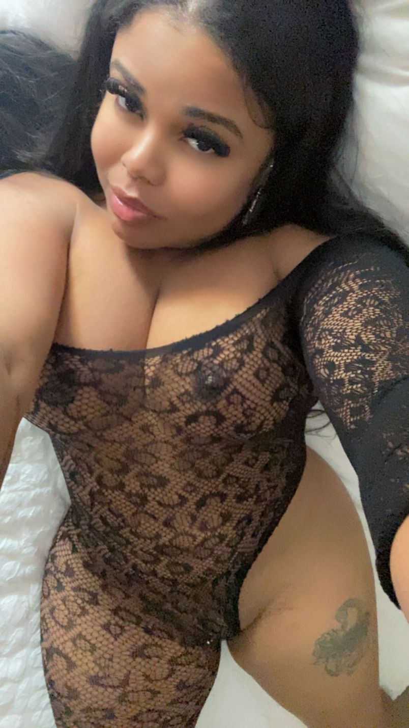 Busty Pretty Pussy 16