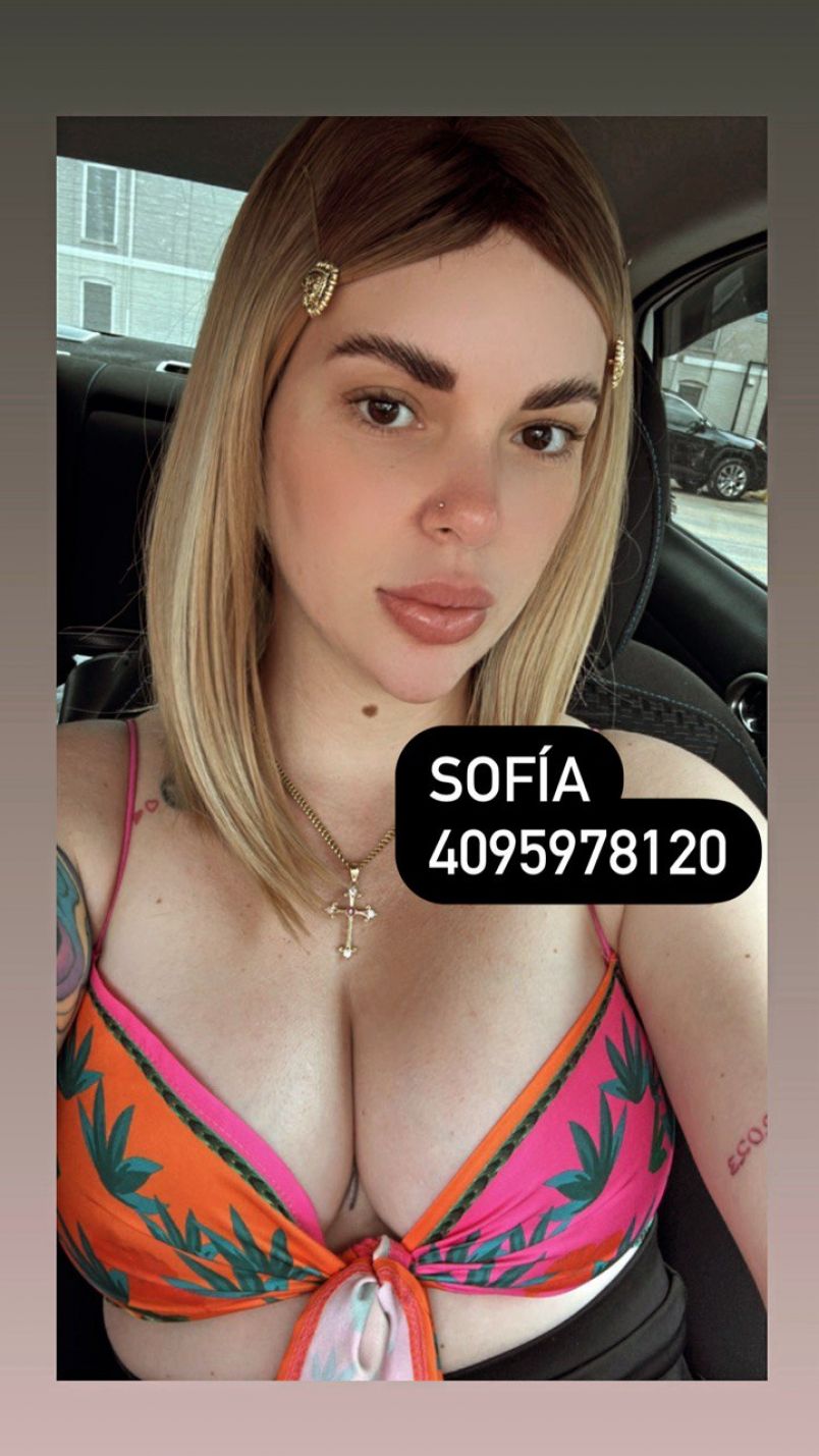 Sofia 7
