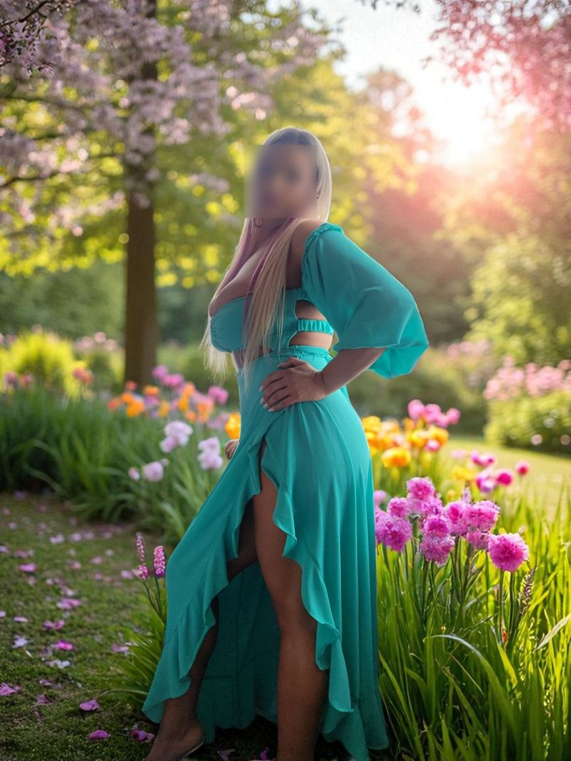 Amira 6