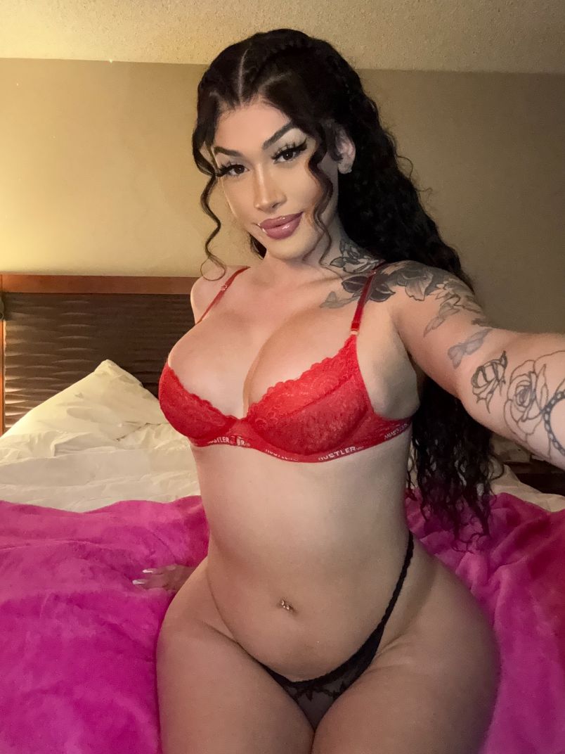 Dahlia Thicky 1