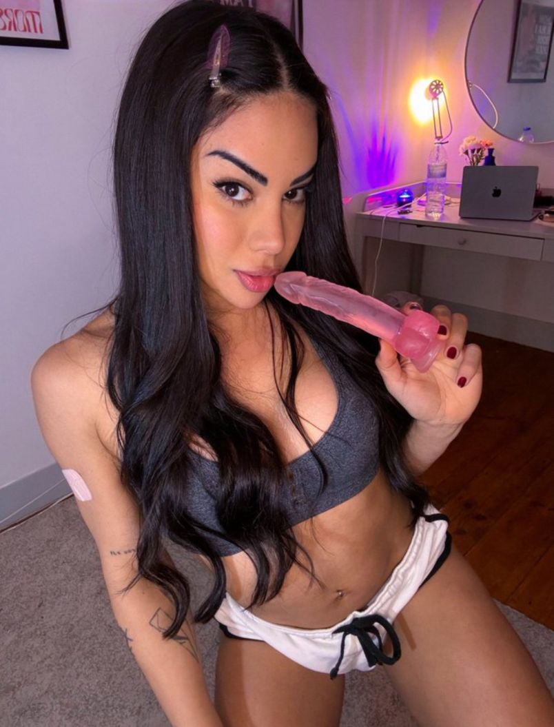 Rose 4