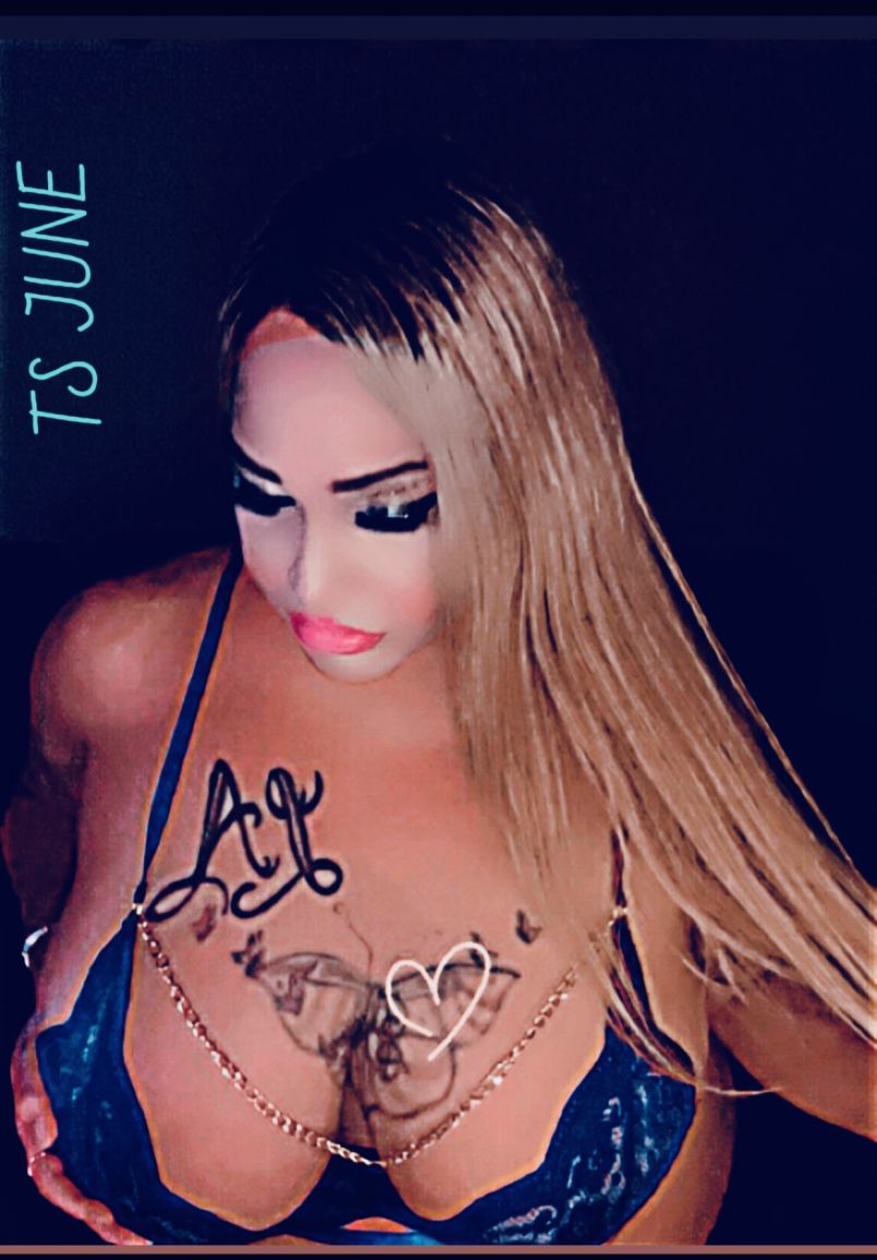 Junebunni 8