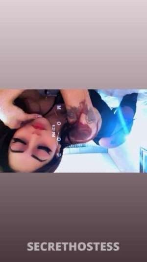 Nicholebby 3