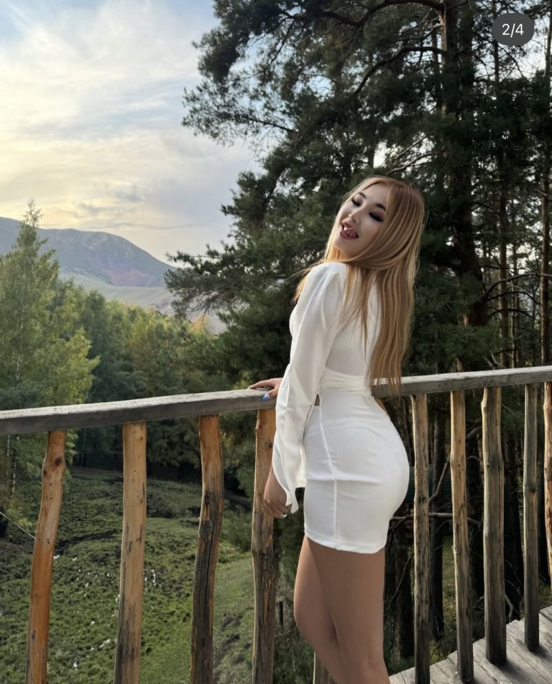 Aila 4